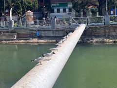 -大观篆新农贸市场