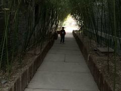 -台儿庄古城