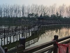-合肥滨湖国家森林公园