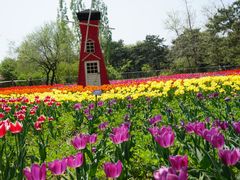 -国家植物园南园