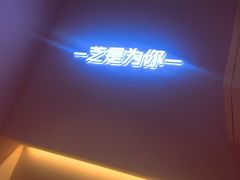 -狐狸和向日葵(北京路店)
