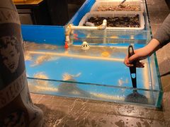 -星伦多自助料理·涮烤一体(嘉兴八佰伴店)