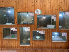 -上海大自然野生昆虫馆(东方明珠·爬宠昆虫探索中心)