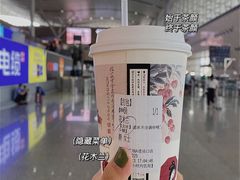 -茶颜悦色(岳麓山顶店)