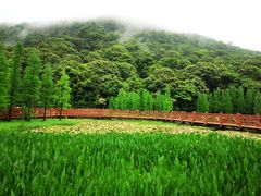 -广州市石门国家森林公园