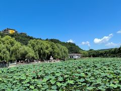 -北山公园