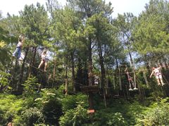 -梦幻奥陶纪景区