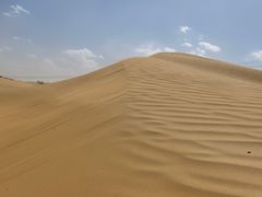 -银肯塔拉沙漠生态旅游景区