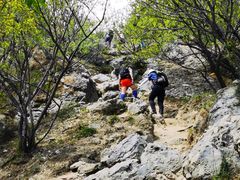 -大觉寺-停车场