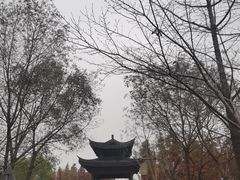 -梁鸿国家湿地公园