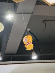 -心联形象设计·流星染
