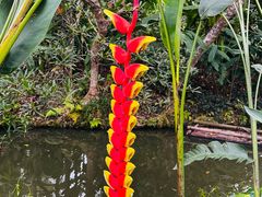 -中国科学院西双版纳热带植物园