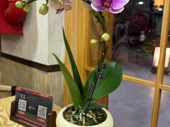 -佛有缘素食馆·荔湾老字号(陈家祠首店)