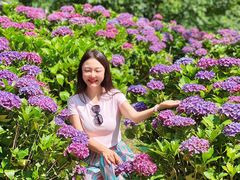 -苍山世界地质公园·石门关大峡谷