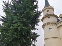 -北京张裕爱斐堡酒庄