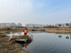 -洋湖国家湿地公园