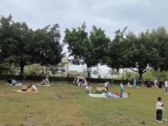 -风云岭森林公园