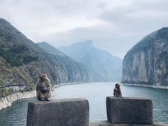 -白帝城·瞿塘峡景区