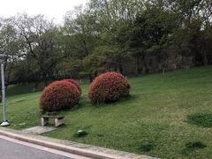 -虞山风景区