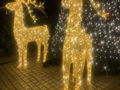 -酷cigar&whisky·bar(神仙树店)