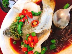 -湛江菜.江南首席(昆山店)