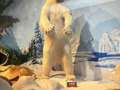 -陕西自然博物馆