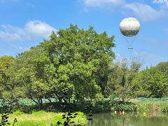 -西溪国家湿地公园