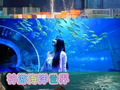 -威海华夏城景区