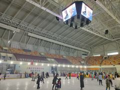 -松江大学城体育馆滑冰馆