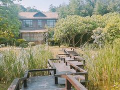 -洪湖悦兮半岛国际温泉度假村