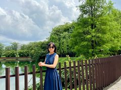 -王借岗森林公园
