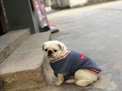 -三溪村