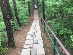 -四明山国家森林公园