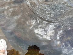 -东澳岛