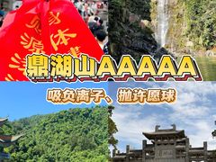 -鼎香皇高佬苏裹蒸粽