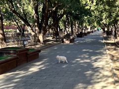 -北京市劳动人民文化宫(太庙)