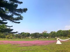 -福建鲤鱼洲酒店