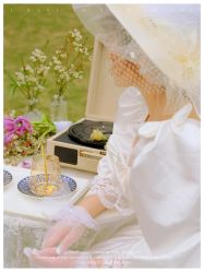 -苏菲雅婚纱摄影(西三路)