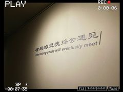 -PengLai 蓬莱(建外大街店)