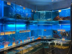 水产区-协成海鲜火锅(海洋花园店)