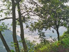 -铁山坪森林公园