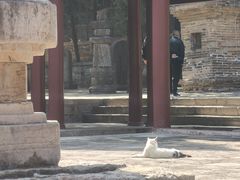-四门塔风景区