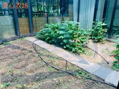 -当代MOMAKIDS托育中心