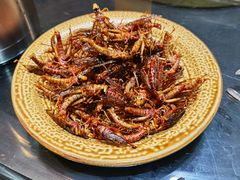 炸蚂蚱-昆虫窝子·特色云南菜(拓东路总店)
