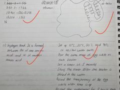 -JT PREP国际学科课程·IB·AP·Alevel(陆家嘴校区)