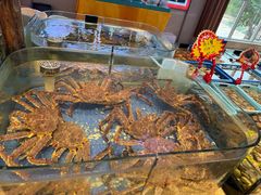 -山东八大碗山东老字号