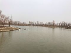 -盐城丹顶鹤湿地生态旅游区