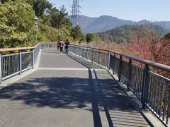 -金鸡山公园