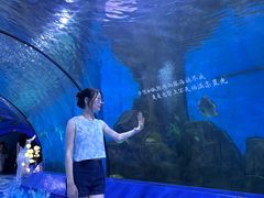 -重庆欢乐海底世界