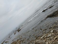 -鼓歌海鲜舫·手抓海鲜(大学城店)